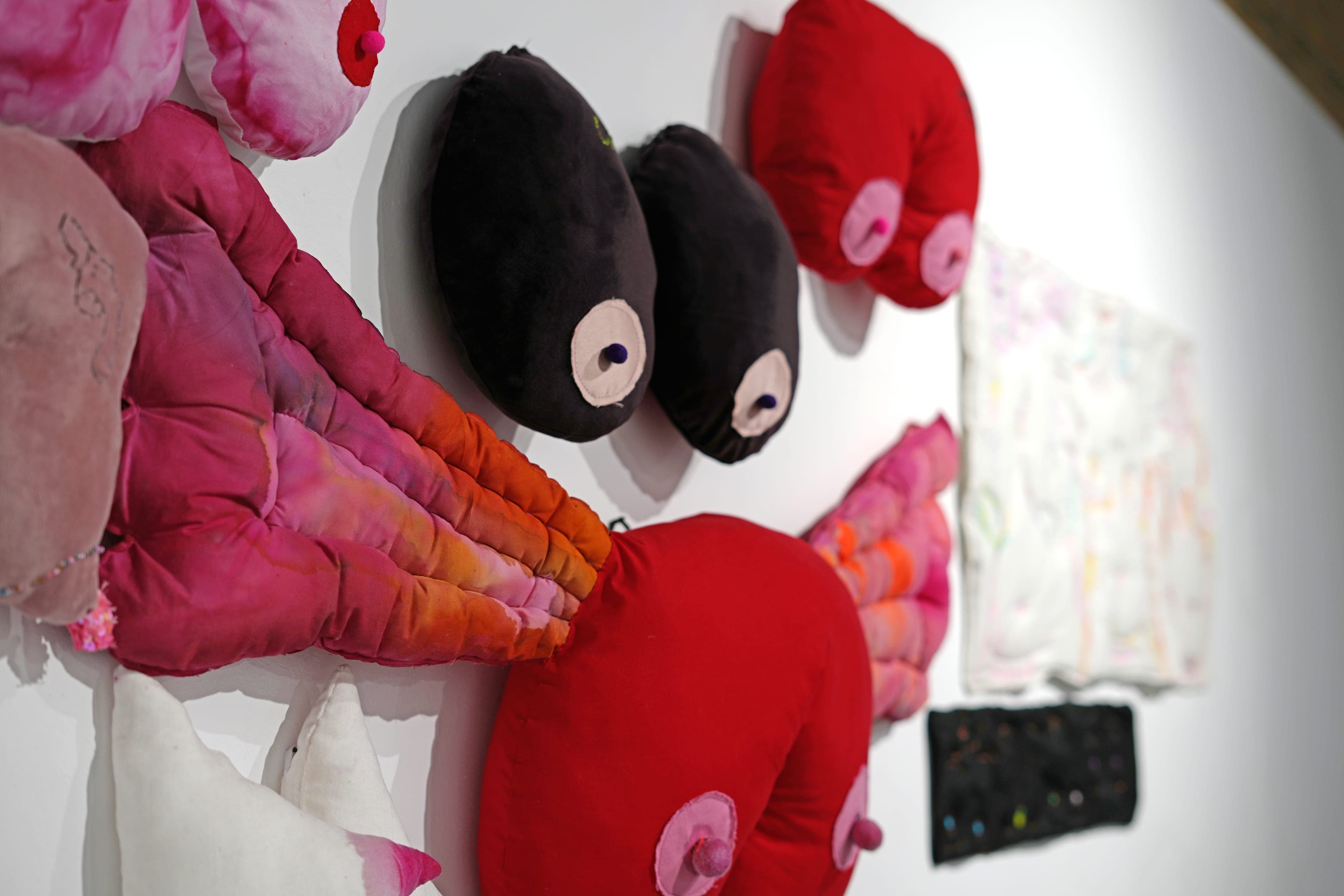 ZSB 2025 Exhibition
